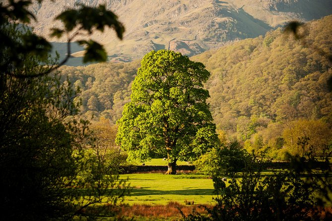 3-Day Lake District Explorer Small-Group Tour from Edinburgh - Price: what $622.54 buys you, and what you still handle