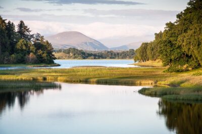 3-Day Speyside Whisky Tour from Edinburgh Including Admissions - Day 2: Glenlivet originals, Aberlour lunch, Cooperage craft, and Cardhu’s challenge