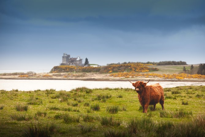 4-Day Magical Mull, Iona & West Highlands Small-Group Tour from Edinburgh - Isle of Staffa choice: when you should say yes to the boat