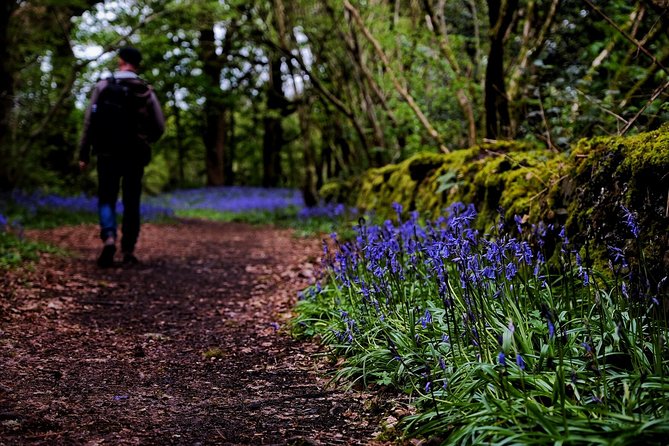 Central Scotland Driving Tour - Stirlingshire (Private) - Culross Palace and the 16th-Century Cobble Streets Walk