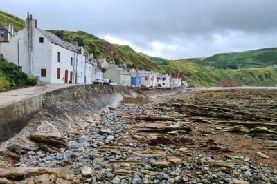 Coastal Villages of Aberdeenshire - Bullers of Buchan: the collapsed sea cave and seabirds in spring