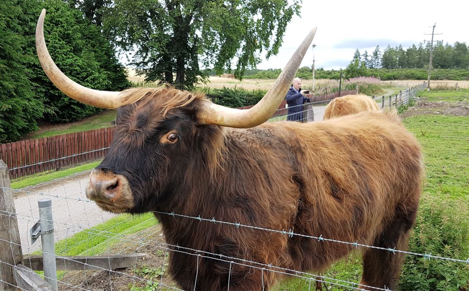 Craigs Luxury Speyside Private Whisky Tour - Who This Tour Is For: Best Fit for Whisky Priorities