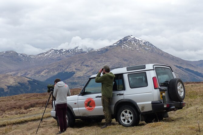 Discovery Wildlife Safari - Discovery Wildlife Safari: what 3 hours in the Trossachs feels like