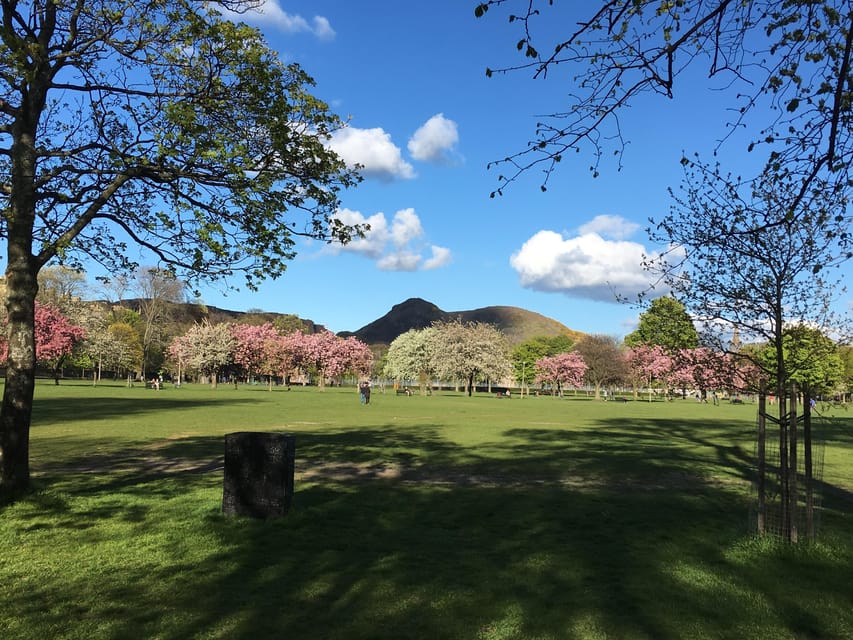 Edinburgh: a Scottish experience for Children in German - Where the tour starts: Edinburgh’s Meadows, not a stuffy classroom