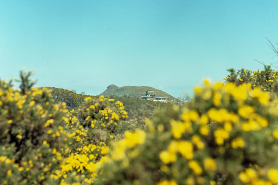 Edinburgh: Arthur's Seat Hike with Mountain Guide - Should you book Mountain Marcus’s Arthur’s Seat hike?