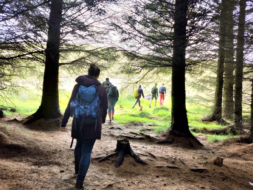 Edinburgh: Hill & Nature Hike With a Local - What you’ll spot and learn: flora, fauna, geology, and Celtic land