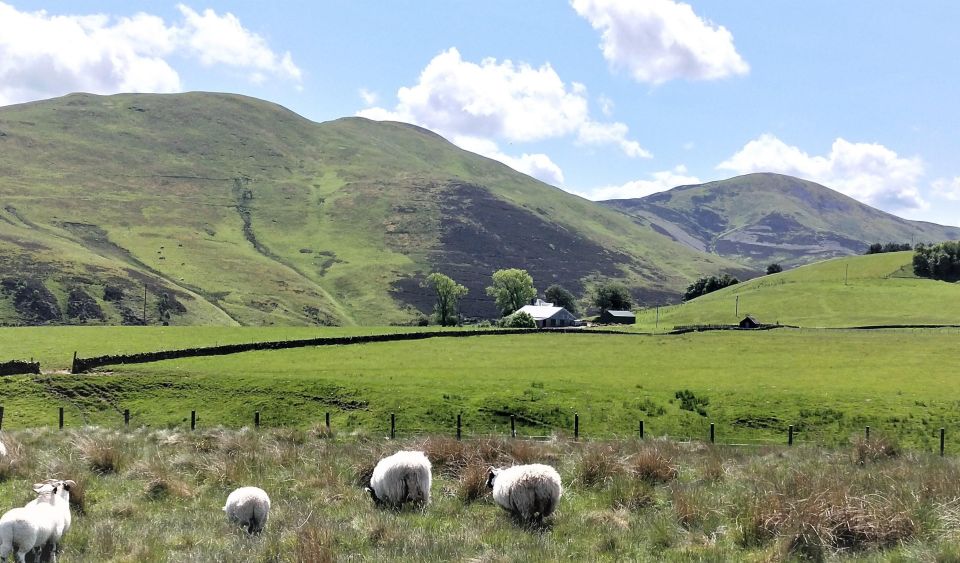 Edinburgh: Hill & Nature Hike With a Local - Logistics that actually save time: King’s Theatre and the all-day bus pass
