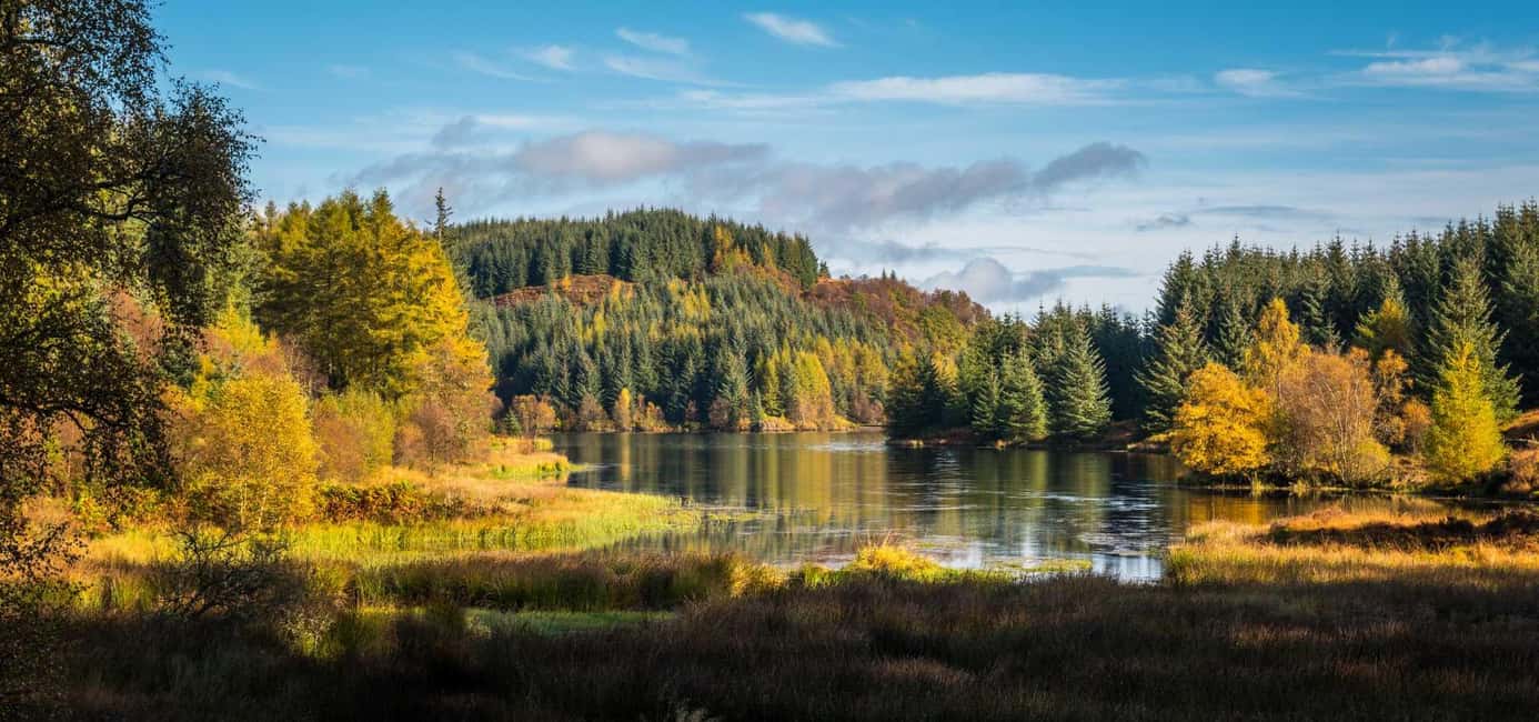Edinburgh: Loch Lomond, Stirling Castle, and Kelpies Tour - Balloch Castle Country Park Option: What You Can Do Without the Boat