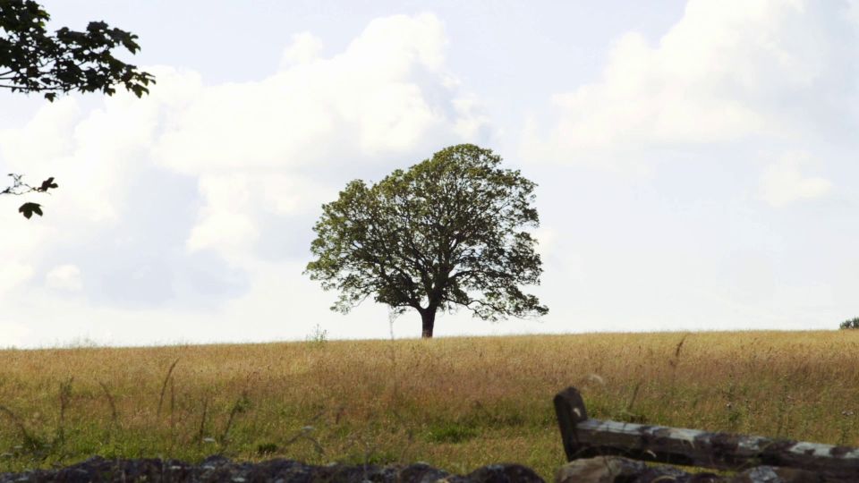 Edinburgh: Rosslyn Chapel and Hadrian's Wall Tour in Spanish - Jedburgh: a border-town break that changes the mood