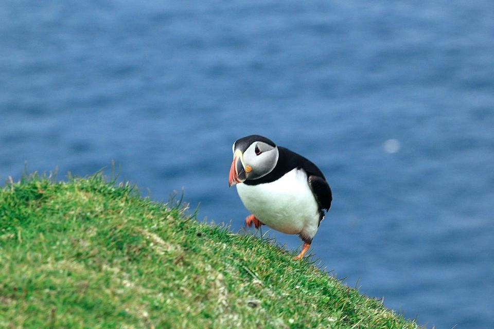 From Edinburgh: 6-Day Shetland & Nothernmost Explorer - What to pack (and what rules to plan around)