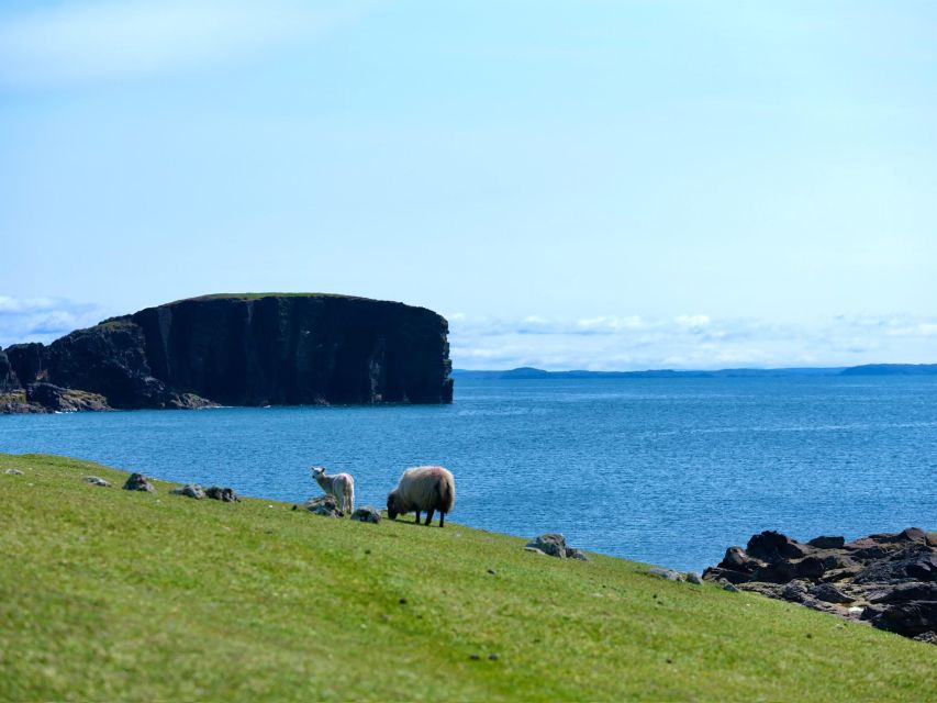 From Edinburgh: 6-Day Shetland & Nothernmost Explorer - Why Shetland feels like the UK’s real edge