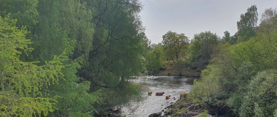 From Edinburgh: a Private Tour to a Majestic Highland Glen - Key highlights worth planning for
