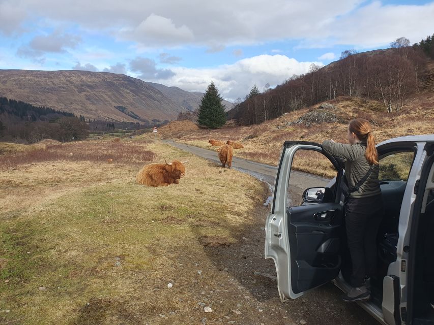 From Edinburgh: a Private Tour to a Majestic Highland Glen - Waterfall pause and birch woods: viewpoints without the crowds