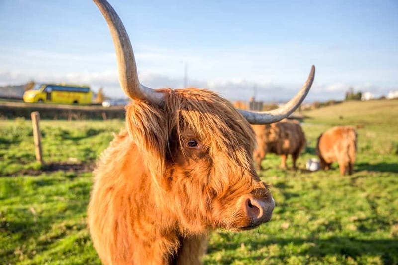From Edinburgh: Isle of Skye & Highlands 3-Day Guided Tour - Price and value: what $538 covers, and what you’ll still pay