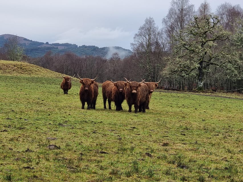 From Edinburgh: Loch Ness Private Day Tour with Transfers - Key things that make this tour worth your time