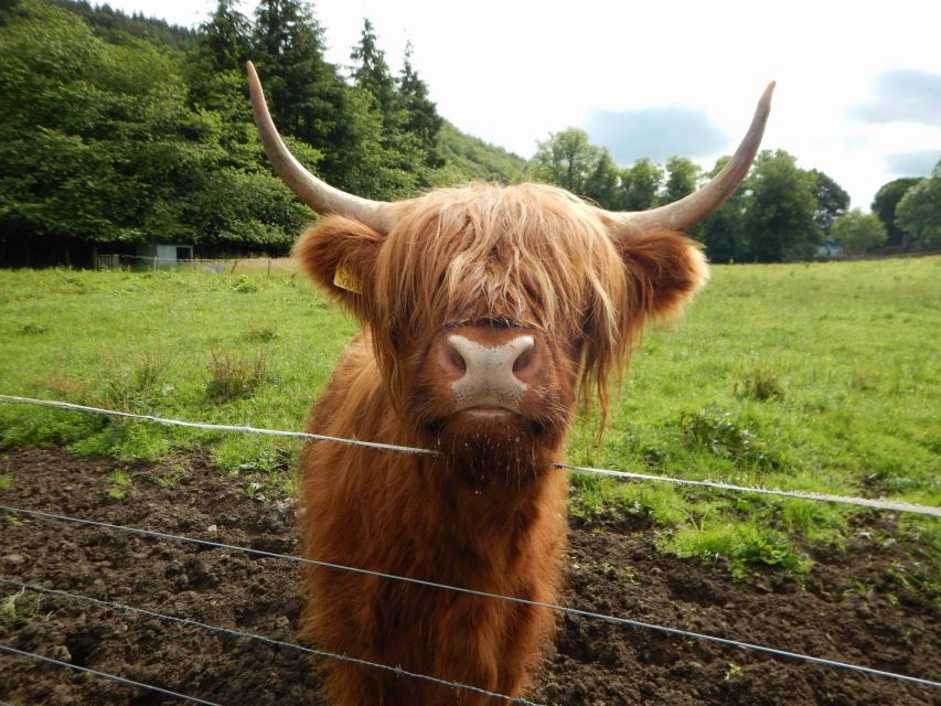 From Edinburgh: Orkney, Skye and the Far North 8 Day Tour - Days 5 and 6: Ferry to Orkney, then Maes Howe, Skara Brae, and the Ring o’Brodgar