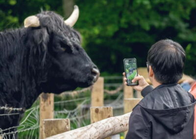 From Edinburgh: Stirling Castle, Kelpies and Loch Lomond - Getting oriented fast: the bus route from Edinburgh to the Kelpies