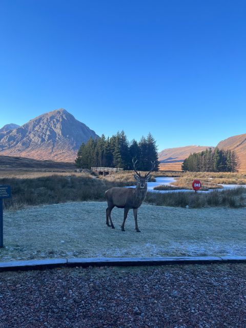 From Edinburgh: The Kelpies, Glencoe & Loch Lomond Day Tour - Key points you’ll feel during the day