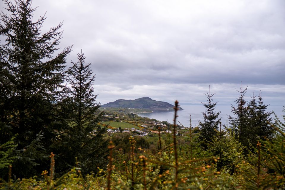 From Glasgow: A Day on the Isle of Arran with Admission - Why this tour works so well