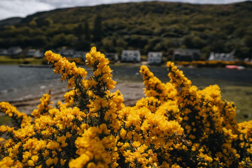 From Glasgow: A Day on the Isle of Arran with Admission - Lunch and downtime: how to handle the food part