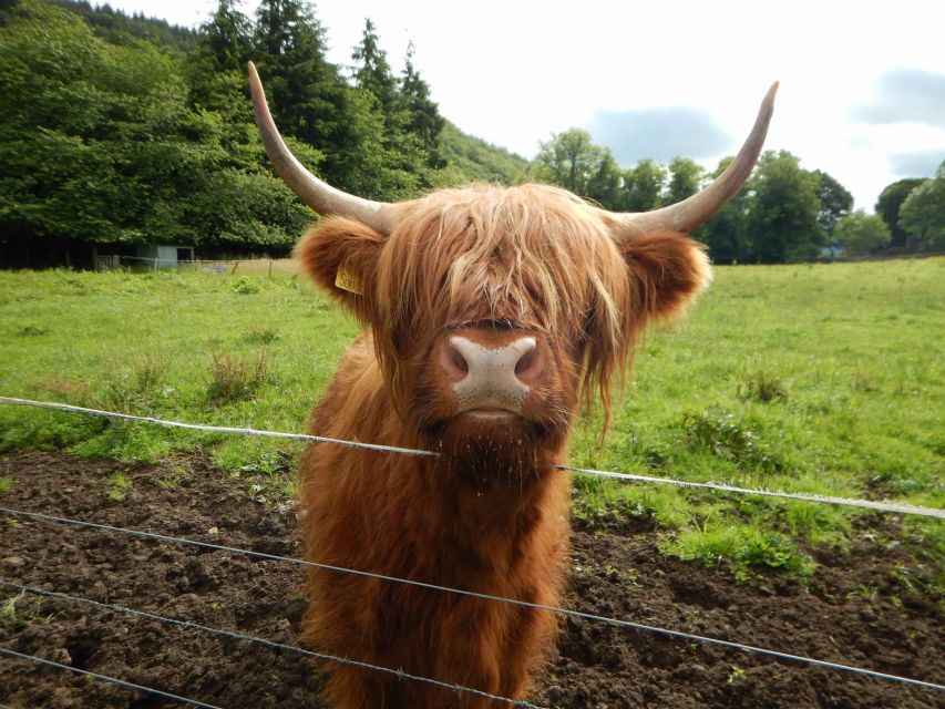 From Glasgow: Scottish Highlands & Isle of Skye 5-Day Tour - Day 3: Isle of Skye’s Cuillins, Quiraing, and the Trotternish Peninsula