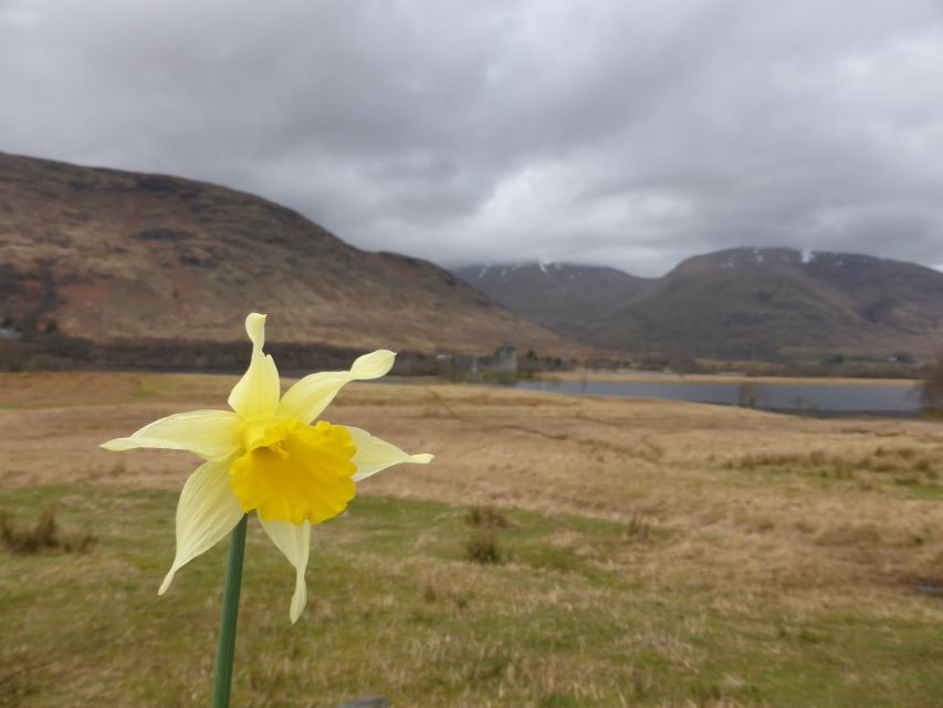 From Glasgow: Scottish Highlands & Isle of Skye 5-Day Tour - Price and Value: What $1,214 Buys You Here