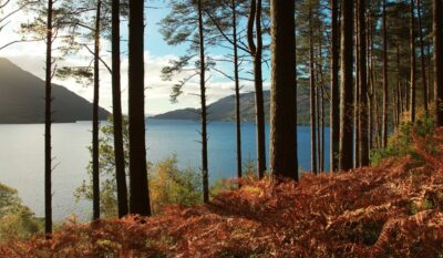 From Glasgow: Stirling Castle & Loch Lomond Tour with Cruise - Stirling Castle: The Volcanic Rock Stronghold With Turning-Point Stories