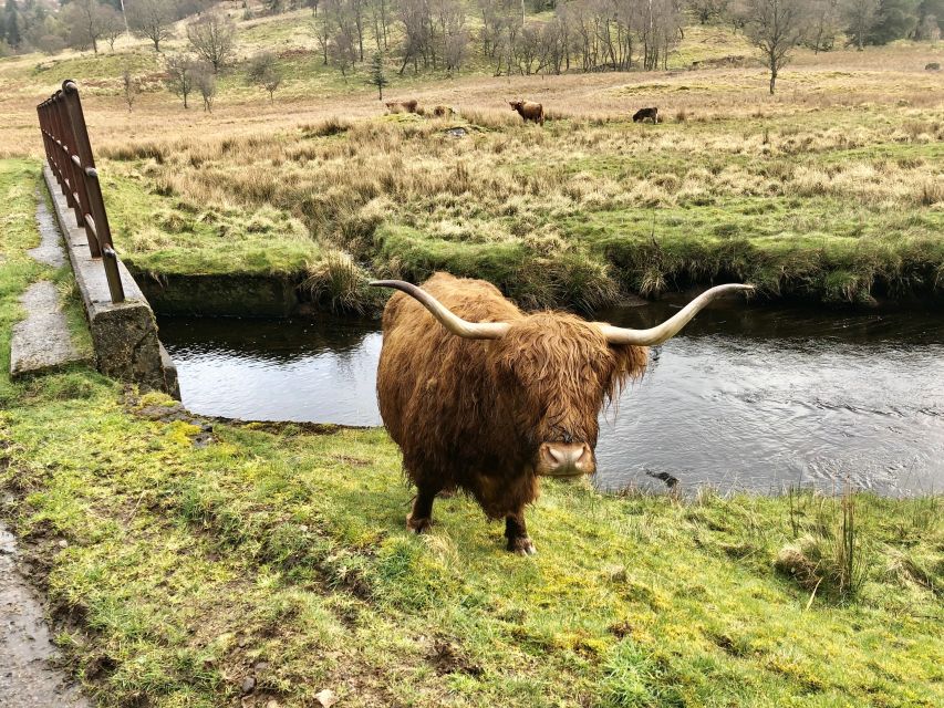 From Oban Glencoe and Castles Tour - How the 6-hour Oban to Glencoe route really feels