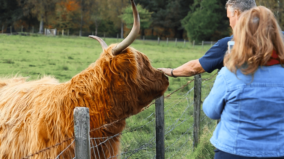 Glasgow: Loch Ness, Glen Coe, Hairy Coos & The Highlands - Highland Perthshire: Hairy Coos and Wildlife Time