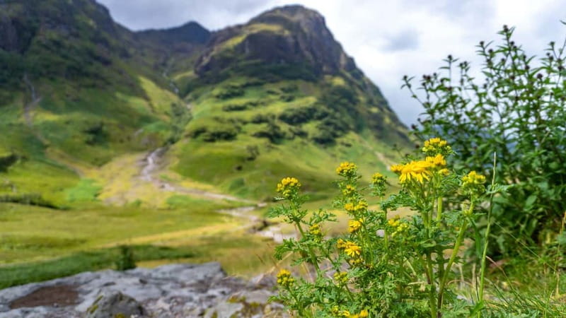 Glasgow: Mountains, Glens & The Loch Ness Monster Day Tour - Key Things to Know Before You Go