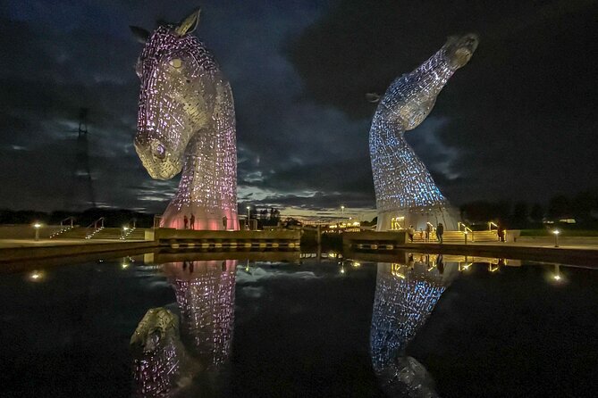 Highland Cows, Walk Alpacas & Scottish Wildlife Centre from Edin. - A 9-hour animal circuit from Edinburgh