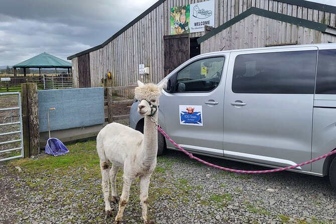 Highland Cows, Walk Alpacas & Scottish Wildlife Centre from Edin. - Drive-by breaks: mythological horse statues and the Highlands–Lowlands castle