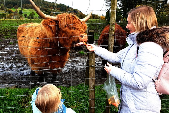 Highlands, Glencoe and Glenfinnan Viaduct Private Tour - Private flexibility: how you’ll get more out of the same route