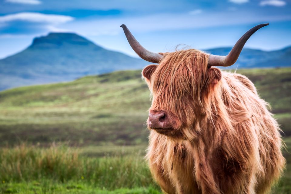 Inverness: Isle of Skye and Eilean Donan Castle Day Trip - Portree lunch time: Skye’s capital without the rush