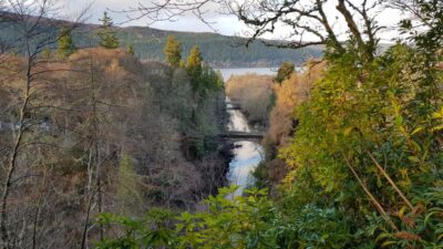 Inverness: Private Secret Hike to the Shores of Loch Ness - Foyers pine woods: a walk that feels like it belongs to the area