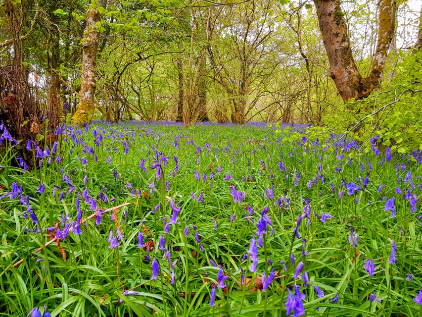 Inverness: Private Secret Hike to the Shores of Loch Ness - Waterfall Cafe local baking and a smart snack rhythm