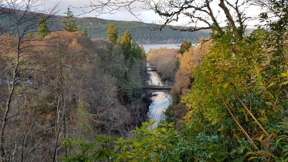 Inverness: Private Secret Hike to the Shores of Loch Ness - Foyers pine woods: a walk that feels like it belongs to the area