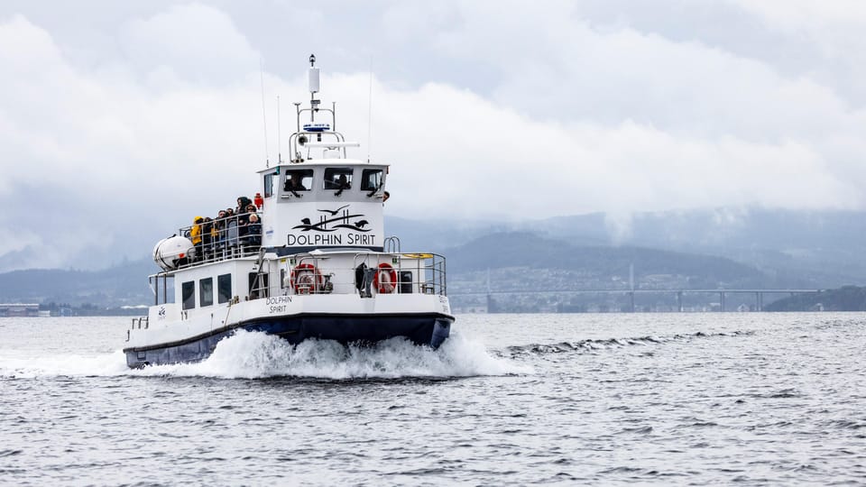 Inverness: Wildlife Watching Cruise to Chanonry Point - Inverness To Chanonry Point: The 2-Hour Experience in Real Life