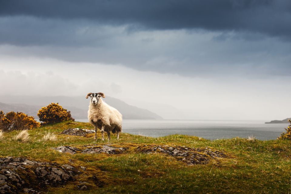 Isle of Mull and Iona 3-Day Small-Group Tour from Glasgow - Day 3: Craignure, Oban Seafood, Kilmartin Glen’s 800 Monuments, Inveraray