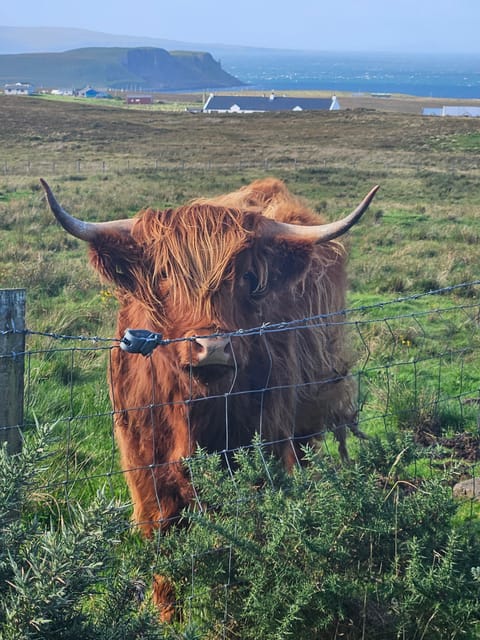 Isle of Skye: Tour the highlights and hidden beauties. - Key reasons this Skye day tour works so well