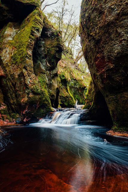 Join the Dark Side of Magical Nature - Price and Value at $121 for 3 Hours of Guided Night Magic