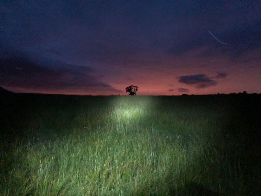 Join the Dark Side of Magical Nature - Should You Book This Night Walk? Here’s My Call