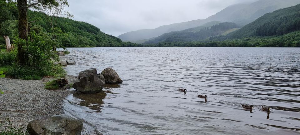 Loch Lomond and The Highlands Day Tour - Key things to know before you go