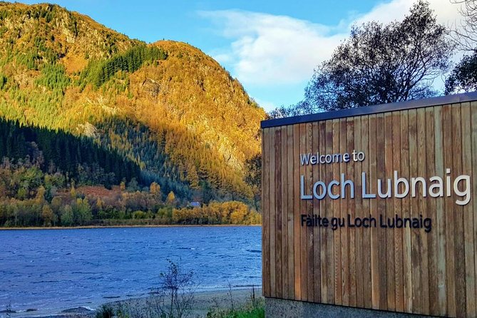 Loch Lomond & The Highlands Private Day Tour with Scottish Local - Highland cows by the Trossachs Woollen Mill: fast fun with real payoff