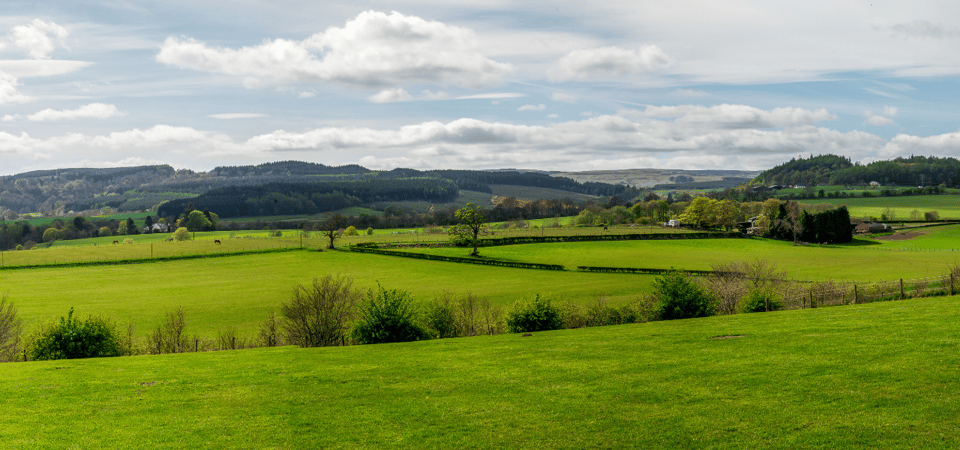 Loch Lomond & Trossachs National Park Drive Tour with an App - The Lodge Forest Visitor Centre: reset with information and fresh air