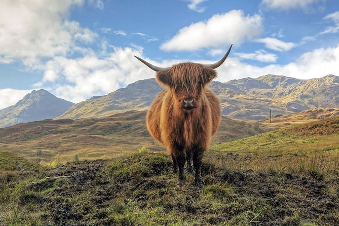 Loch Ness, Glencoe & the Highlands Guided Day Tour from Edinburgh - Callander refreshment break: easy legs before Glencoe