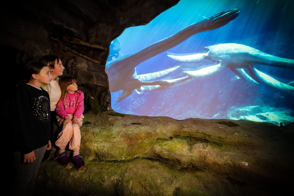 Loch Ness: The Loch Ness Centre - The 500 million years walk: why the timeline is more useful than it sounds