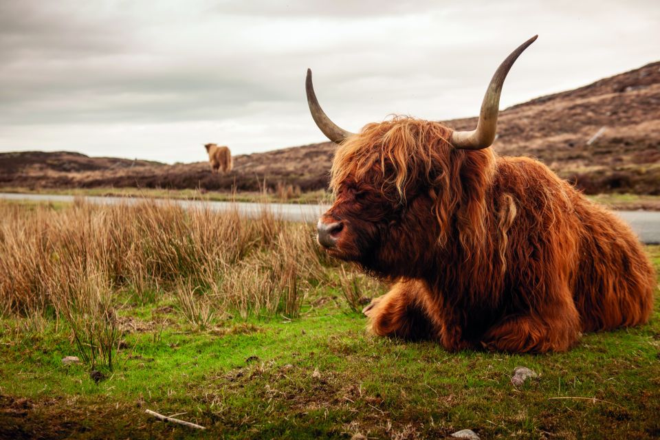 North Coast 500: 3-Day Small-Group Tour from Inverness - The real value: why a guide-led 3 days beats driving yourself