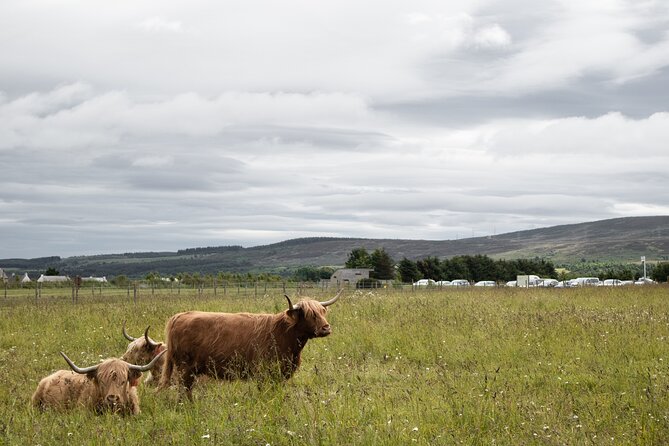 Private Full-Day Tour to the Scottish Highlands and Loch Ness - Dalwhinnie Distillery: whisky time without losing the timetable