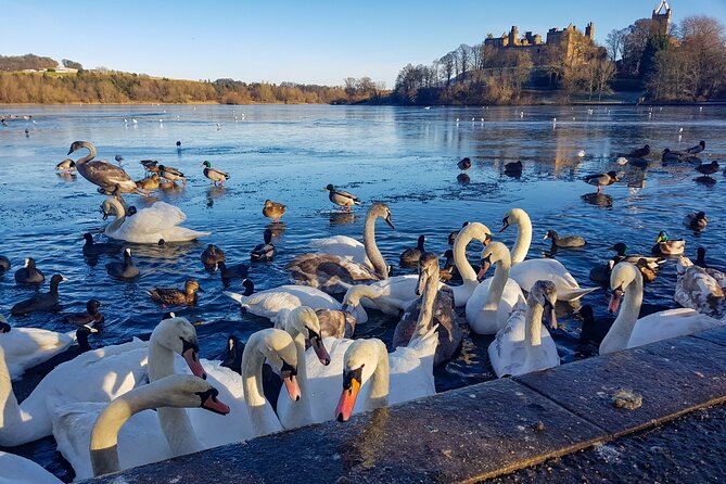 Private Luxury Tour of Loch Lomond, Glencoe & The Highlands - Loch Lomond & The Trossachs: the big scenery moment, on schedule